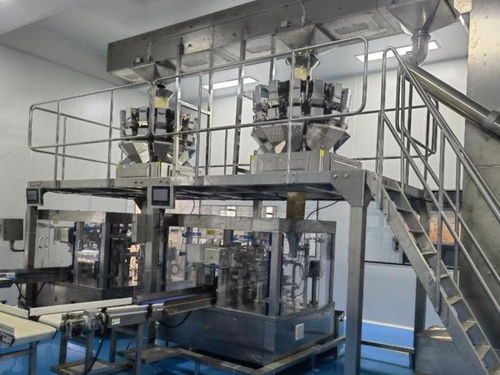 全自動膨化食品包裝設備品牌推薦 助力蝦條、薯片、蝦片、鍋巴高效生產